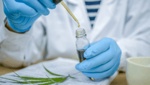 How to Choose the Best CBD Oil (for Medical Use) 2