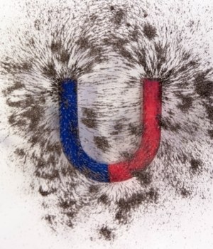 Effect of Magnetic Fields on Tumor Growth