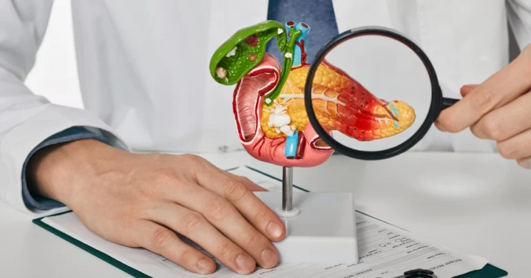 diagram of pancreas
