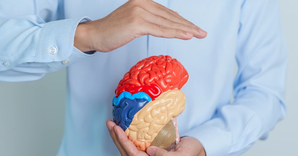 brain cancer condition page cover