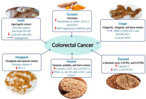 8 Mid-Priced Alternative Cancer Therapies to Enhance Your Treatment Journey 1