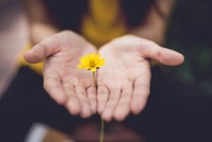 Meditation and Yoga