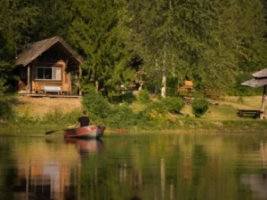 cover-image
